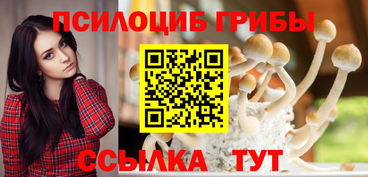 Каменск-Шахтинский  Псилоцибиновые грибы мицелий  Вход с VPN 